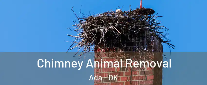  Chimney Animal Removal Ada - OK