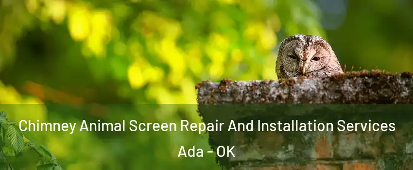  Chimney Animal Screen Repair And Installation Services Ada - OK